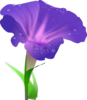 Morning Glory Clip Art